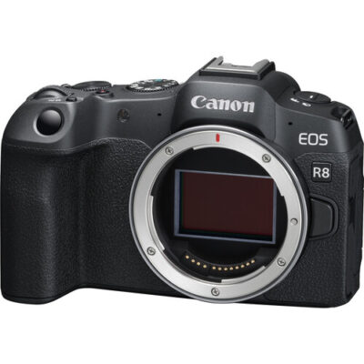 [出租]Canon R8 單機身